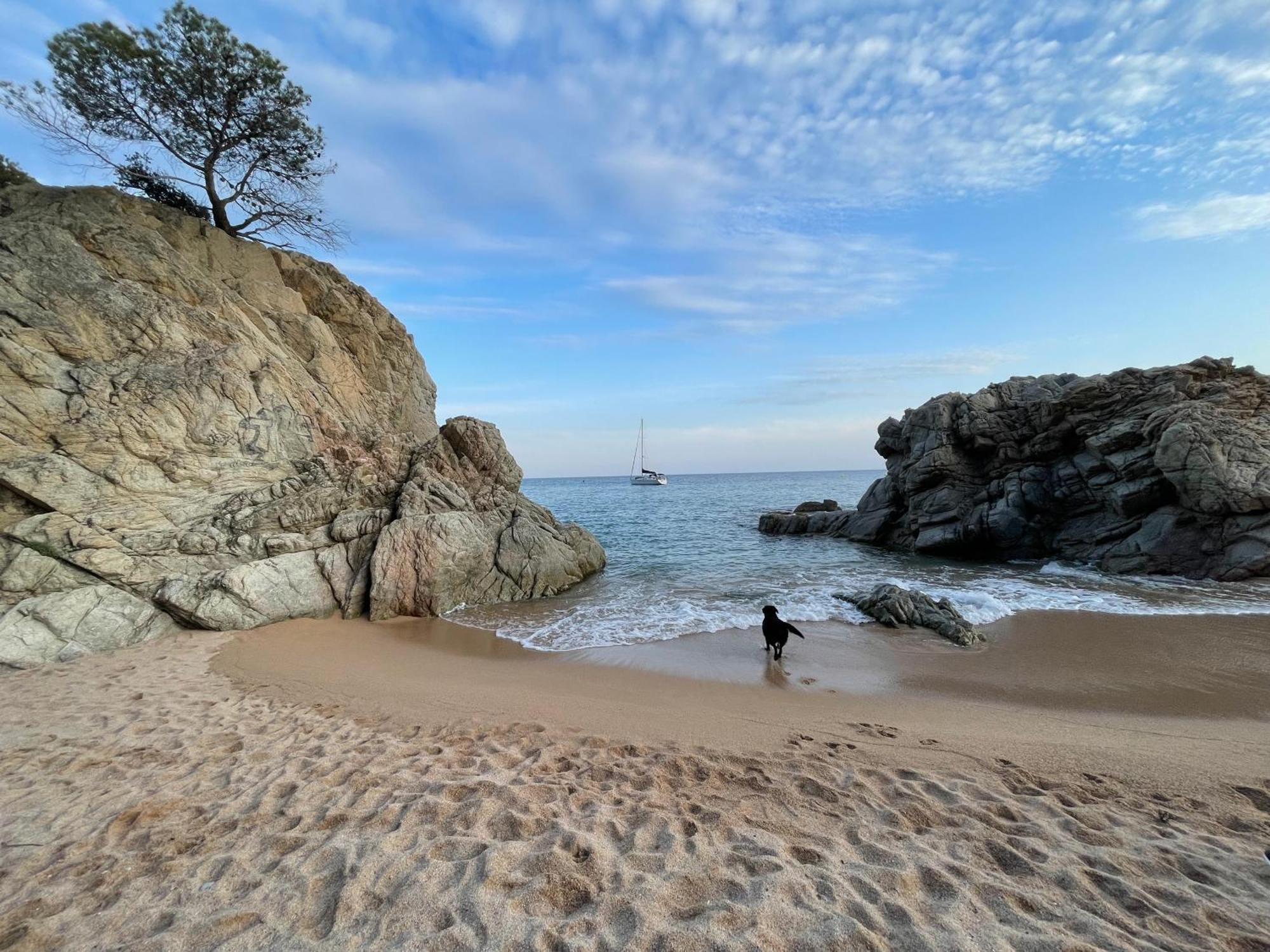 Apartament Pinzon, Gezellige Familievilla Met Groot Zwembad. Lloret de Mar